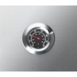 Barbecue grill à gaz 2 brûleurs Proficook PC-GG1255